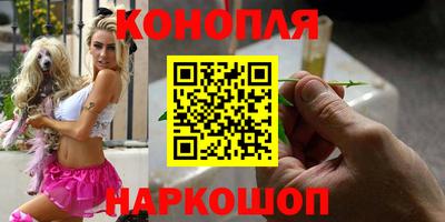 винт Славгород