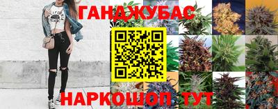 сатива Сланцы