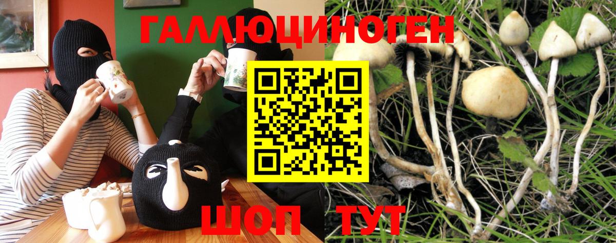 Псилоцибиновые грибы мухоморы Острогожск