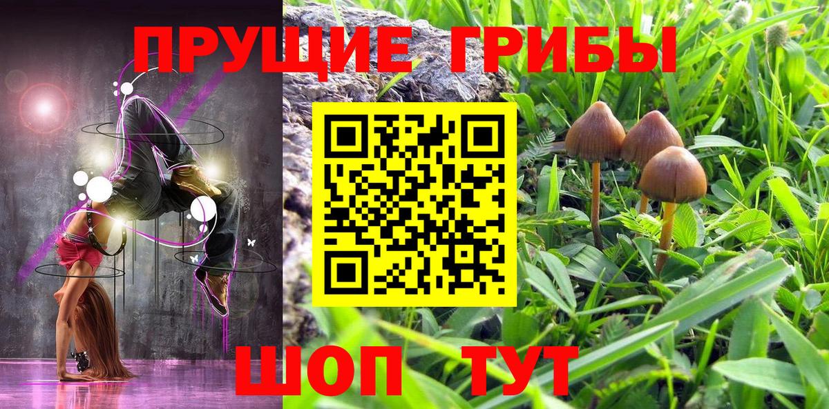 Острогожск  Псилоцибиновые грибы Magic Shrooms  Вход с VPN 